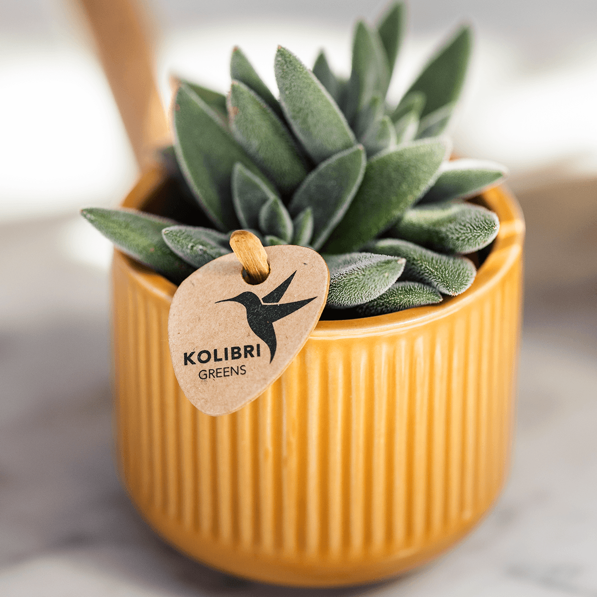 Kolibri Home | Flare Dekotopf - Ocher - Ø6cm 