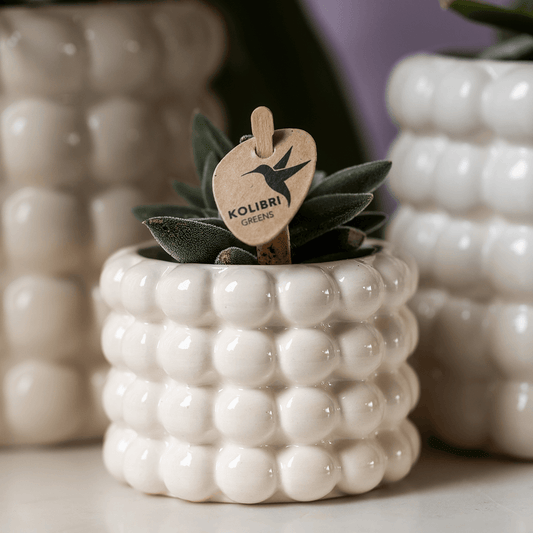 Kolibri Home | Poppy Ziertopf - White - Ø6cm 