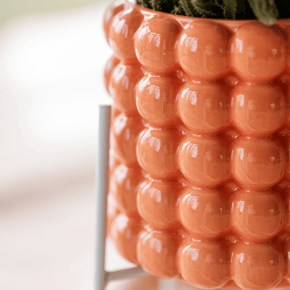 Kolibri Company | Pflanzenset Poppy Orange | Orange Phalaenopsis Orchidee Jamaica und Sukkulente inkl. Keramische Ziertöpfe 