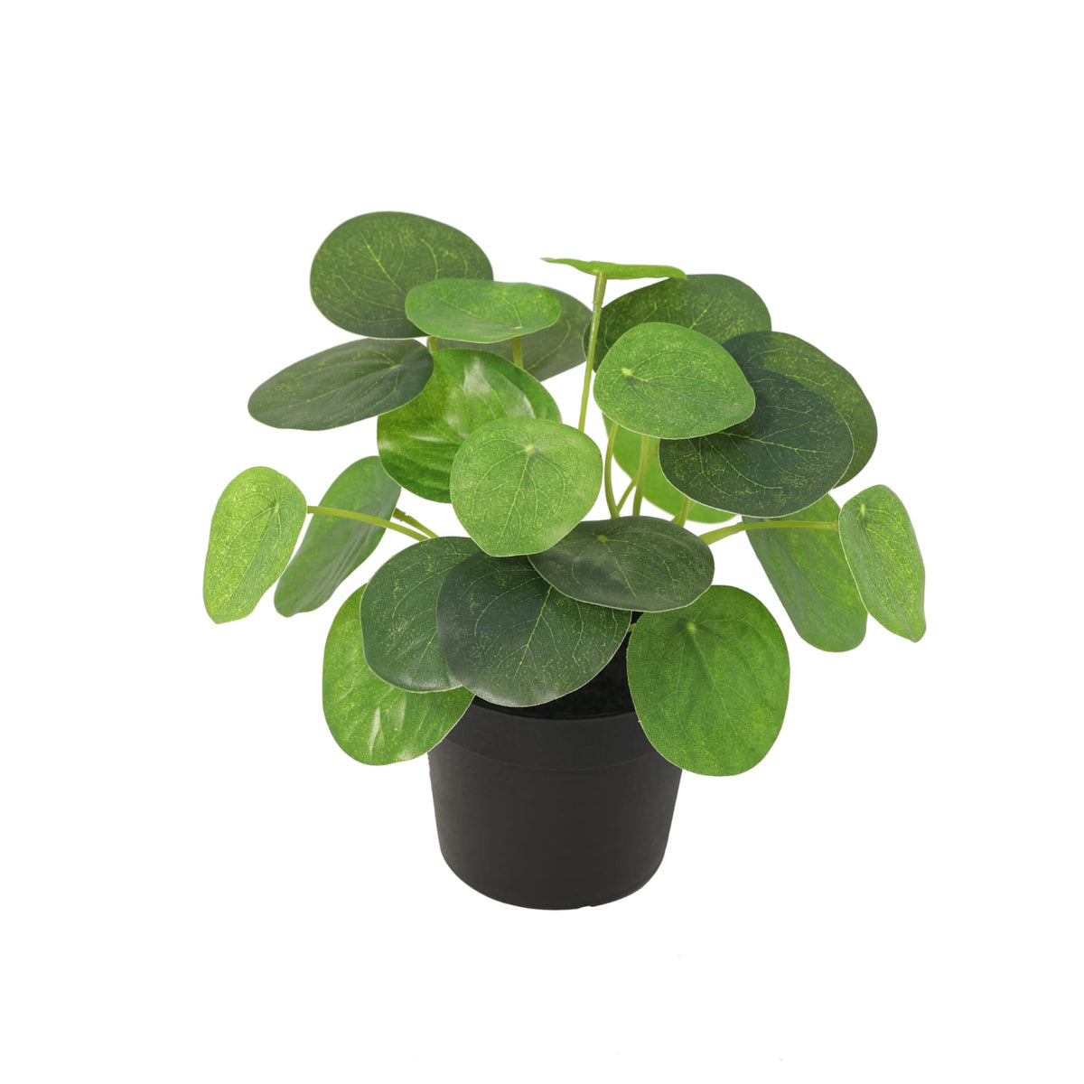 ARTIFICIAL Pilea peperomioides - 17,5cm 