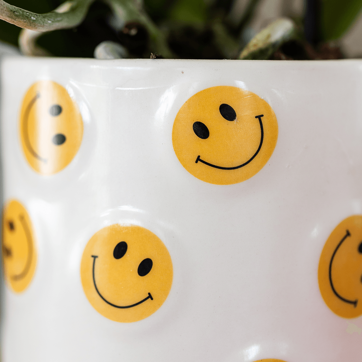 Kolibri Home | Smiley Übertopf - Ø6cm 