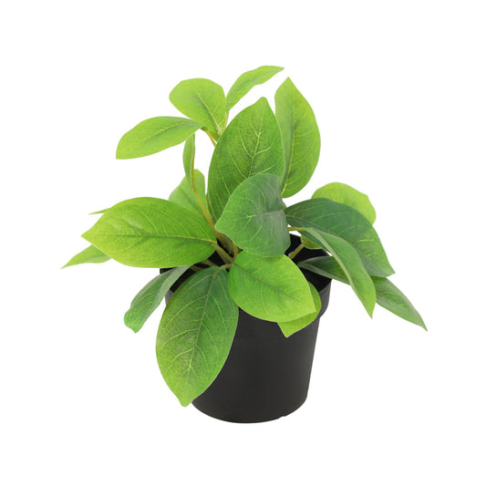 ARTIFICIAL Hoya green - 20cm 