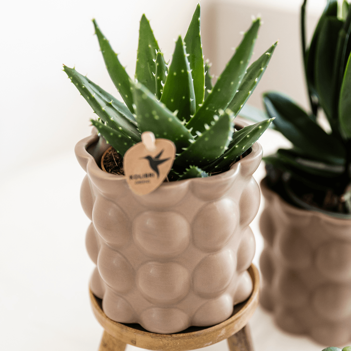 Kolibri Home | Cotton sierpot - Sand - Ø9cm 