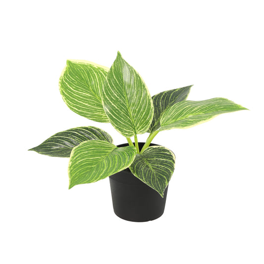 ARTIFICIAL Philodendron birkin - 20cm 
