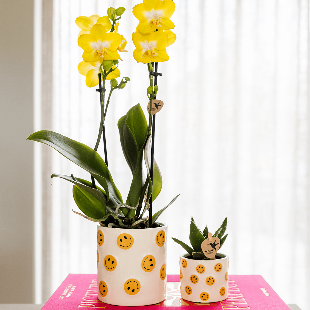 Kolibri Home | Smiley Übertopf - Ø9cm 