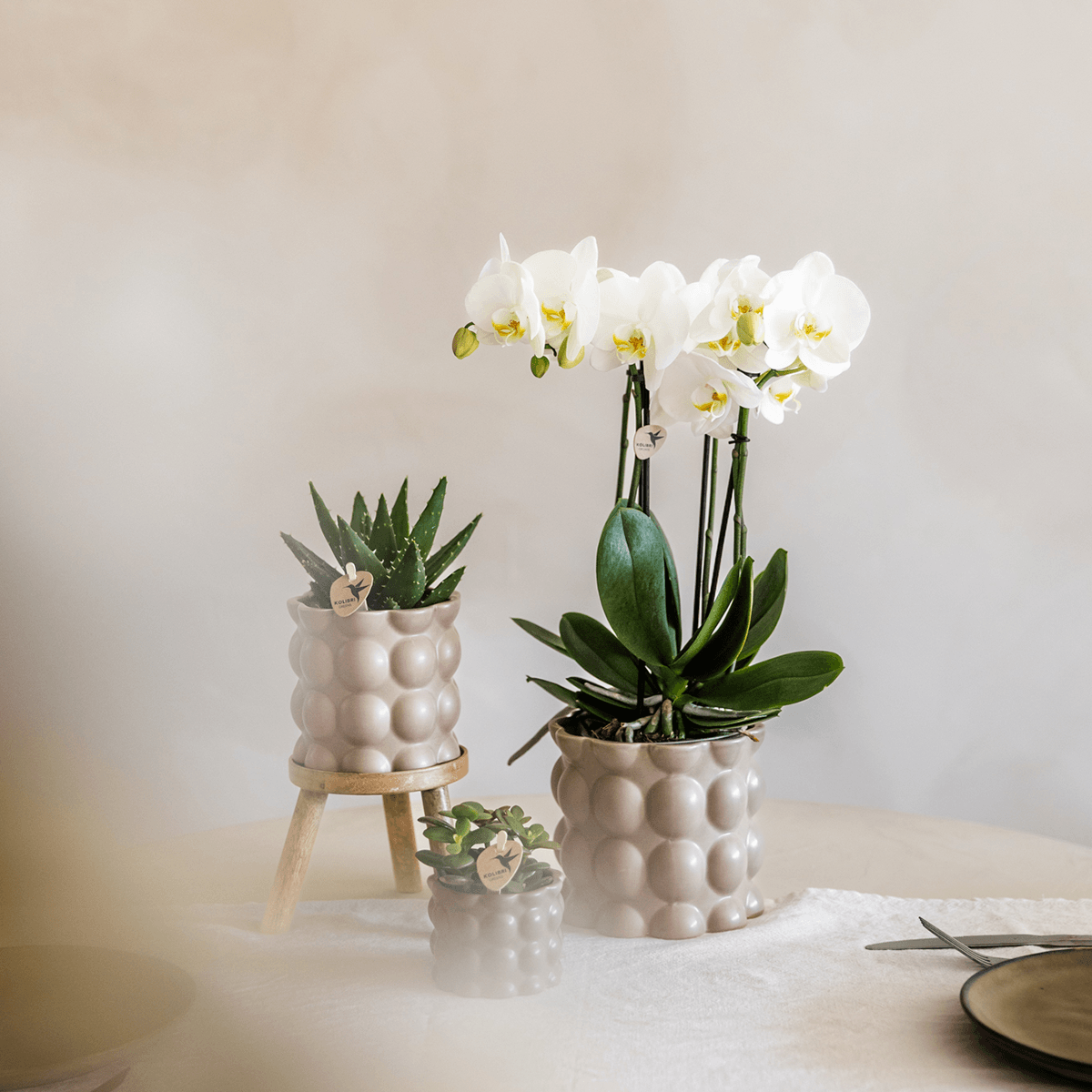 Kolibri Home | Cotton sierpot - Sand - Ø9cm 