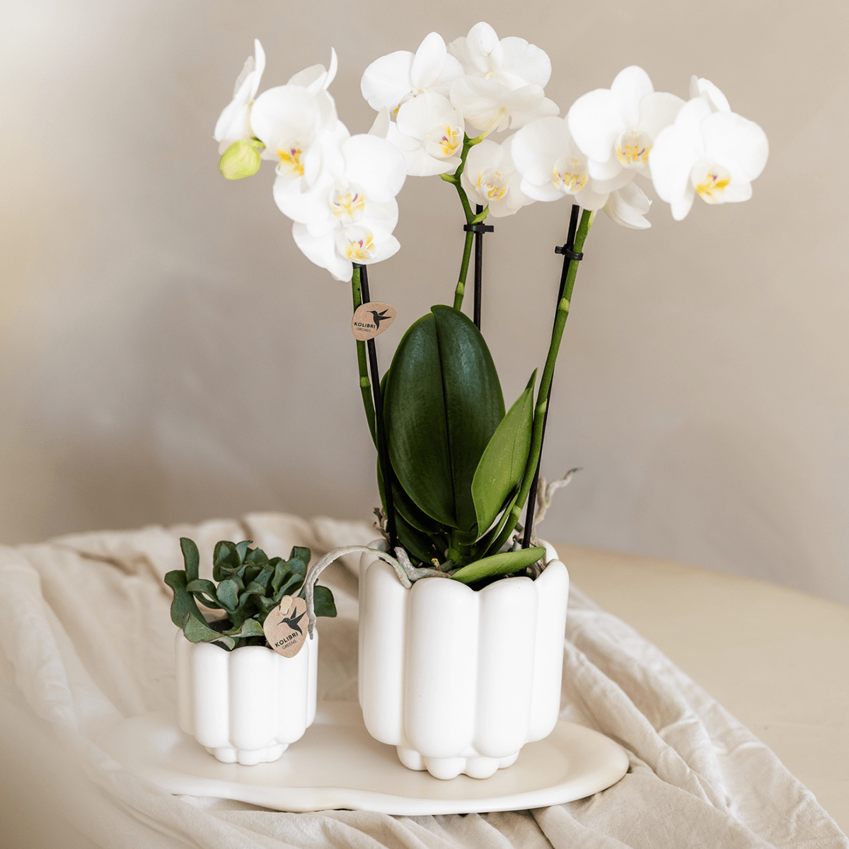 Kolibri Home | Retro-Ziertopf - White - Ø9cm 