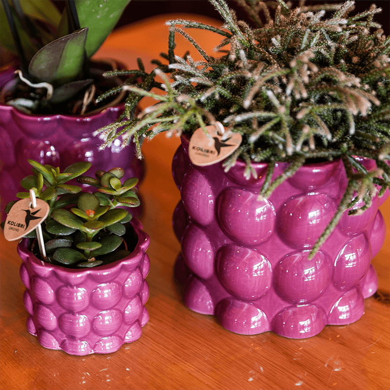 Kolibri Home | Cotton Shine Übertopf - Purple - Ø9cm 