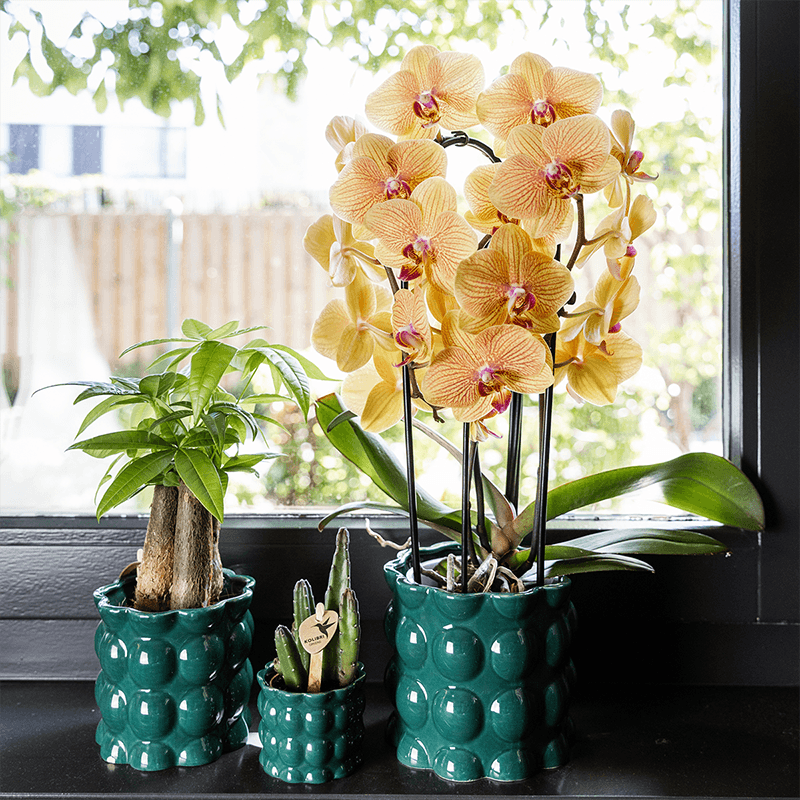 Kolibri Home | Cotton Shine Übertopf - Green - Ø9cm 