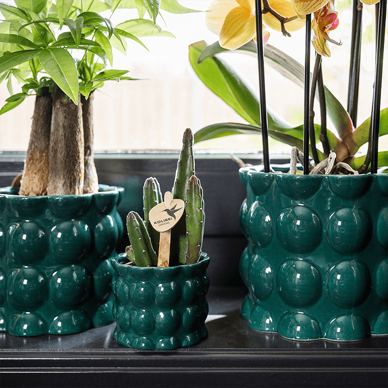 Kolibri Home | Cotton Shine Übertopf - Green - Ø6cm 