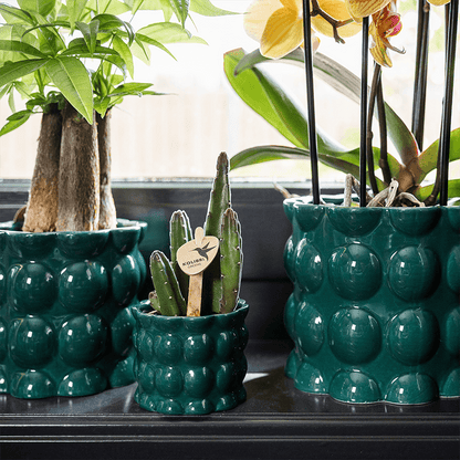 Kolibri Home | Cotton Shine Übertopf - Green - Ø6cm 