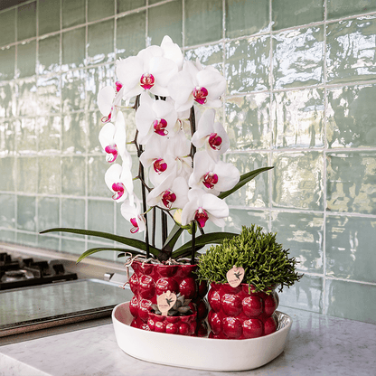 Kolibri Home | Cotton Shine Übertopf - Red - Ø6cm 
