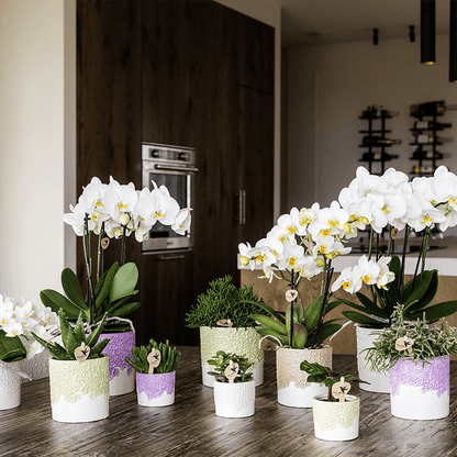 Kolibri Home | Bloom sierpot - Lila - Ø9cm 