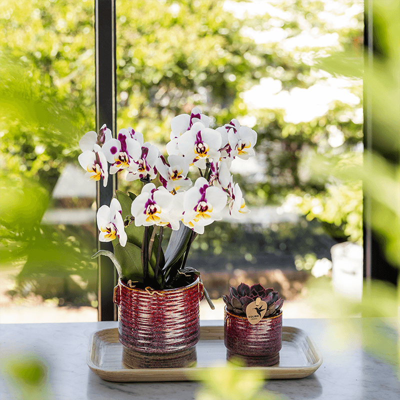 Kolibri Home | Aura sierpot - Ø9cm 