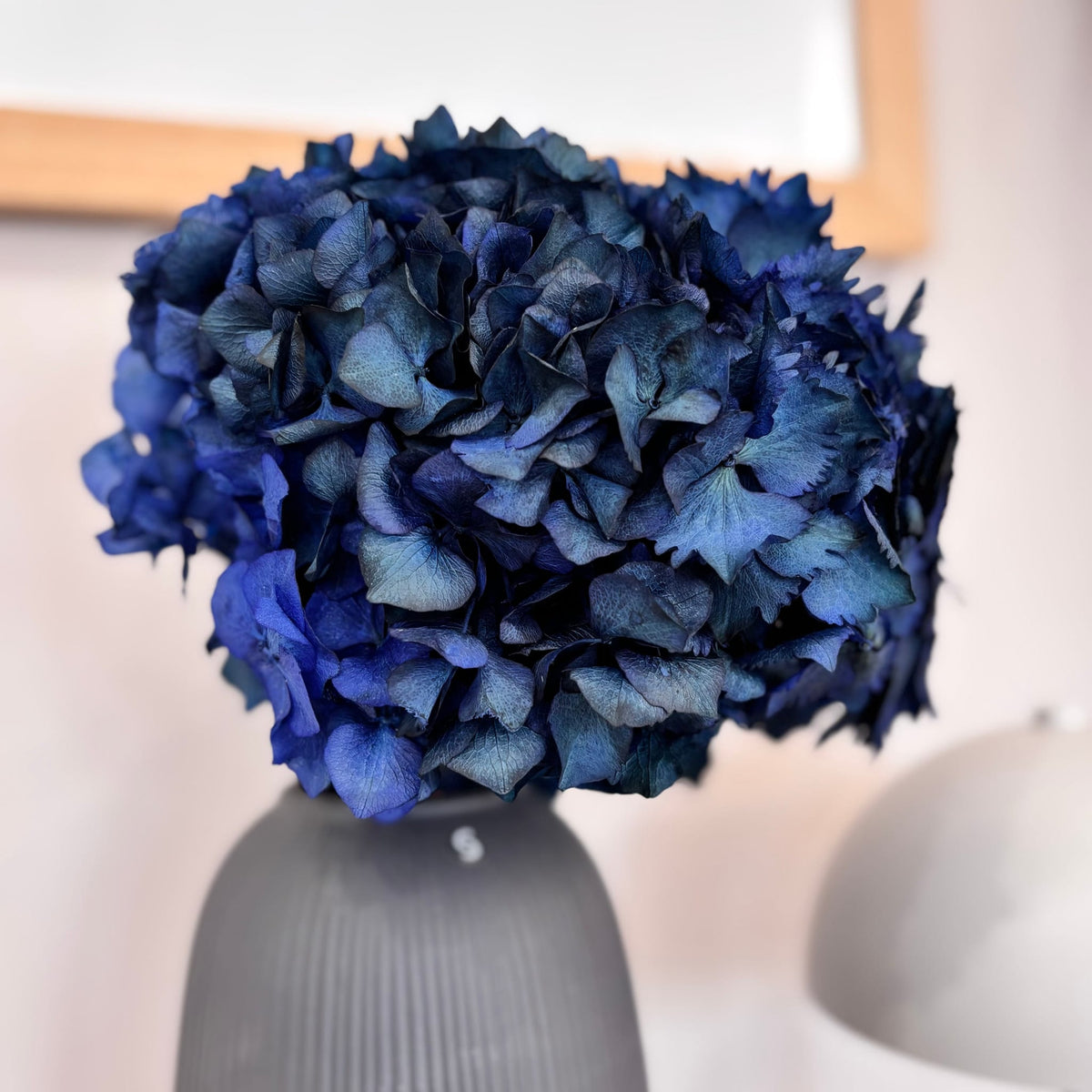 Hortensie: Zeitlose Schönheit, konservierte Hortensien als perfekte Dekoration 