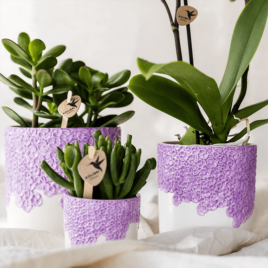 Kolibri Home | Bloom sierpot - Lila - Ø9cm 