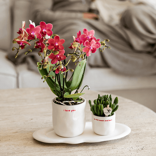 Kolibri Home | I Love You Ziertopf - Ø9cm 