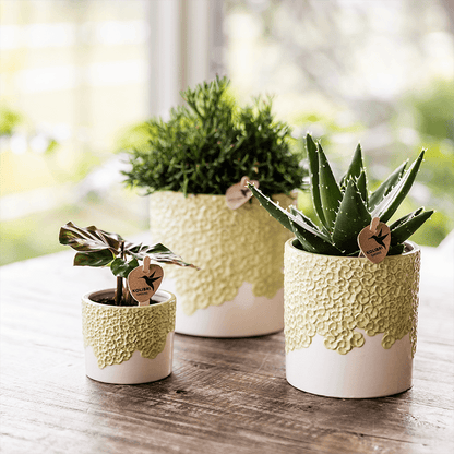 Kolibri Home | Bloom sierpot - Green - Ø12cm 
