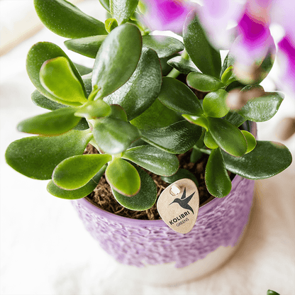Kolibri Home | Bloom sierpot - Lila - Ø9cm 