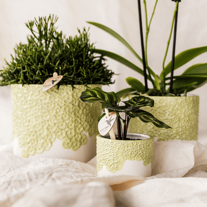 Kolibri Home | Bloom sierpot - Green - Ø12cm 