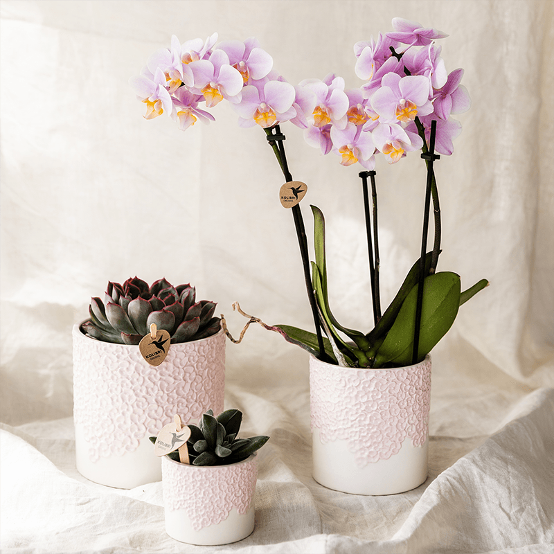 Kolibri Home | Bloom sierpot - Pink - Ø6cm 