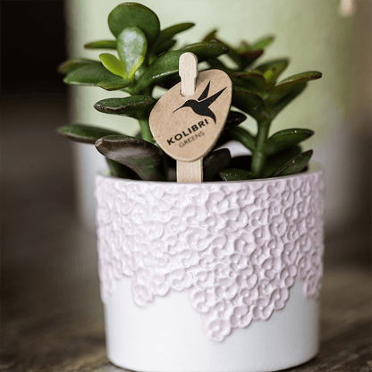 Kolibri Home | Bloom sierpot - Pink - Ø6cm 