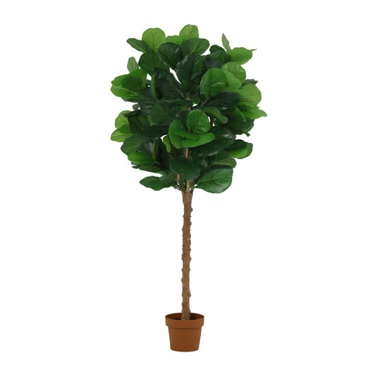 ARTIFICIAL Ficus lyrata tree - 160cm 