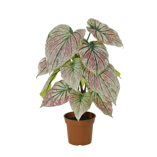ARTIFICIAL Caladium green / pink - 57cm 