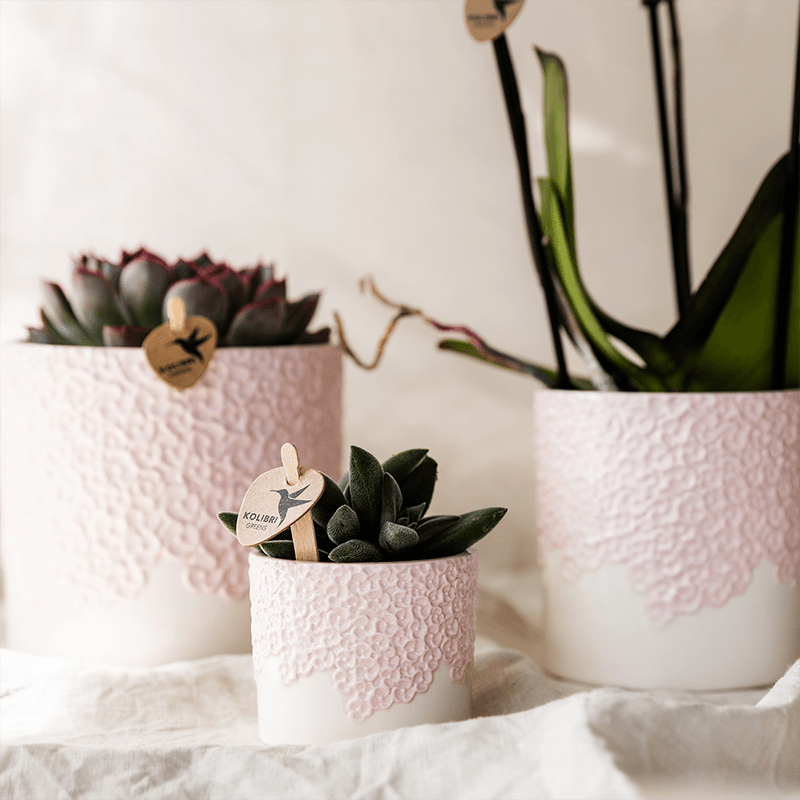 Kolibri Home | Bloom sierpot - Pink - Ø9cm 