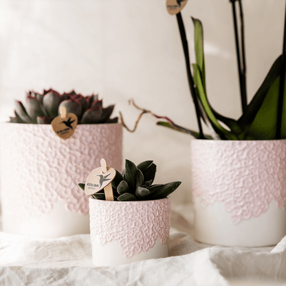 Kolibri Home | Bloom sierpot - Pink - Ø9cm 