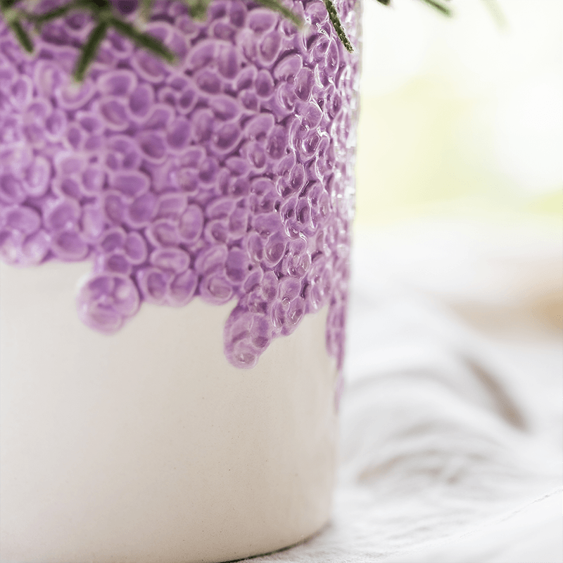 Kolibri Orchids | Violette Vienna Orchidee + Bloom Übertopf violett – Topfgröße Ø9cm | blühende Zimmerpflanze – frisch vom Züchter 