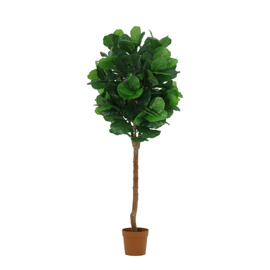 ARTIFICIAL Ficus lyrata tree - 180cm 