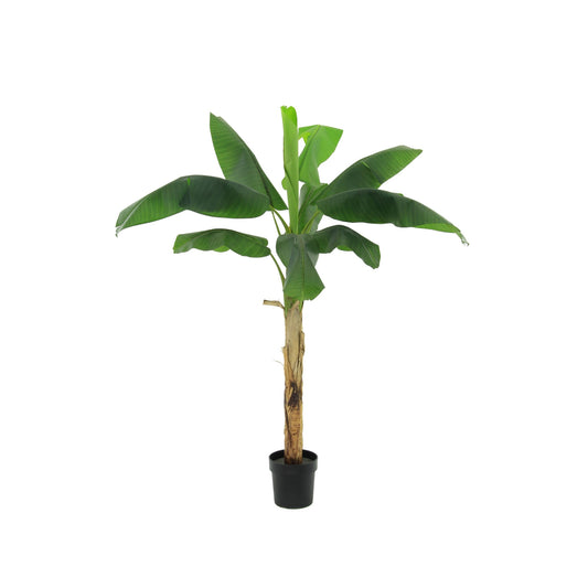 ARTIFICIAL Bananenplant Musa - 180cm 