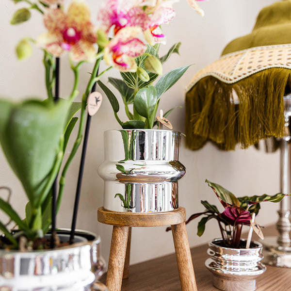 Kolibri Home Chrome-Übertopf – Ø9cm – Ansicht 3