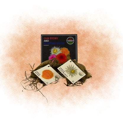 Dahlien-Mix 'Orange Pride' – Playa Blanca & Ralphie, 12 Knollen – Ansicht 2