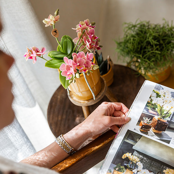 Übertopf 'Timeless' – Kolibri Home – Gelb – Ø9cm – Ansicht 3