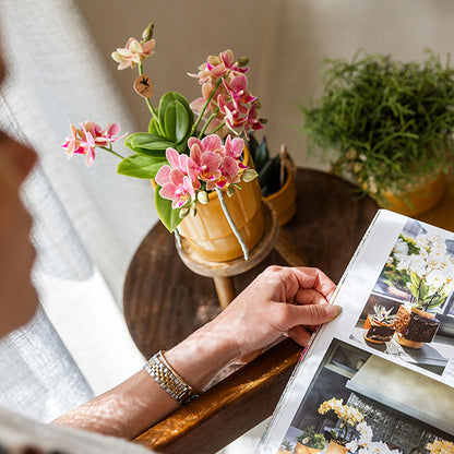 Übertopf 'Timeless' – Kolibri Home – Gelb – Ø9cm – Ansicht 3