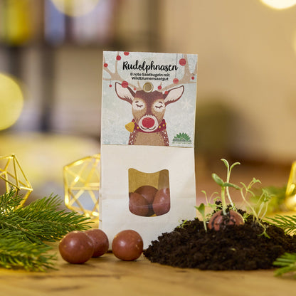 Rudolphnasen – Rote Blumenmurmeln 