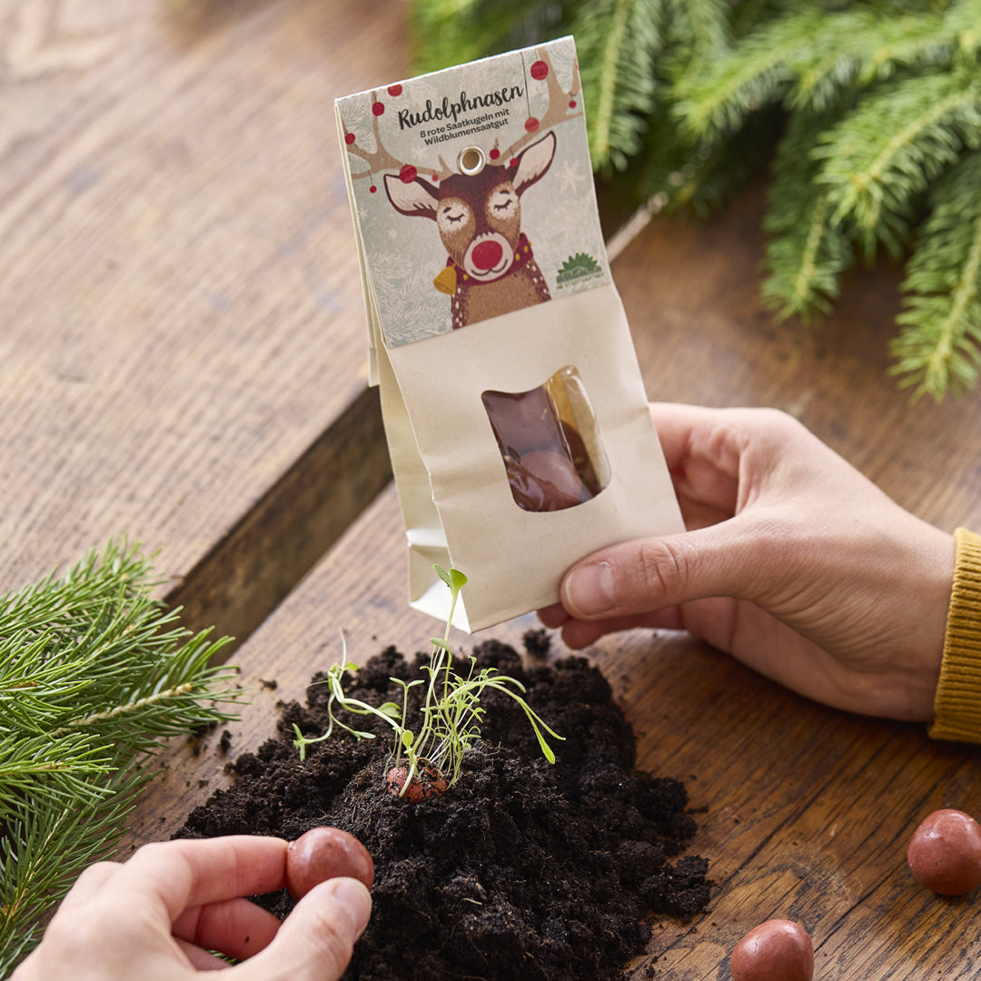 Rudolphnasen – Rote Blumenmurmeln 