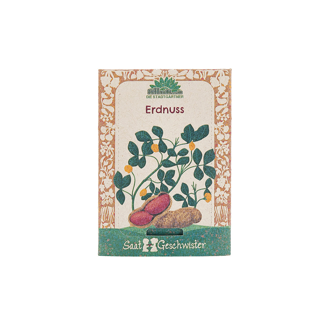 Saatgut Erdnuss 