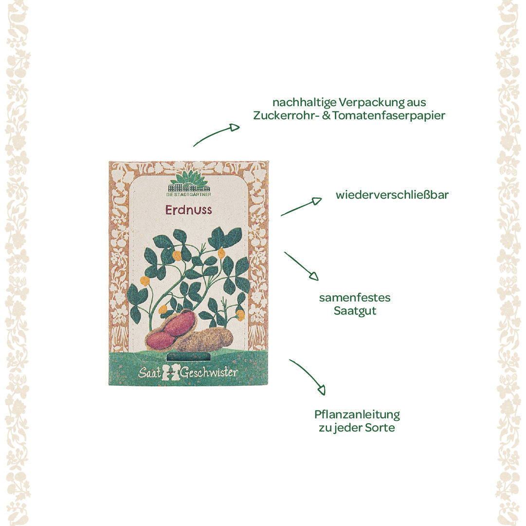 Saatgut Erdnuss 