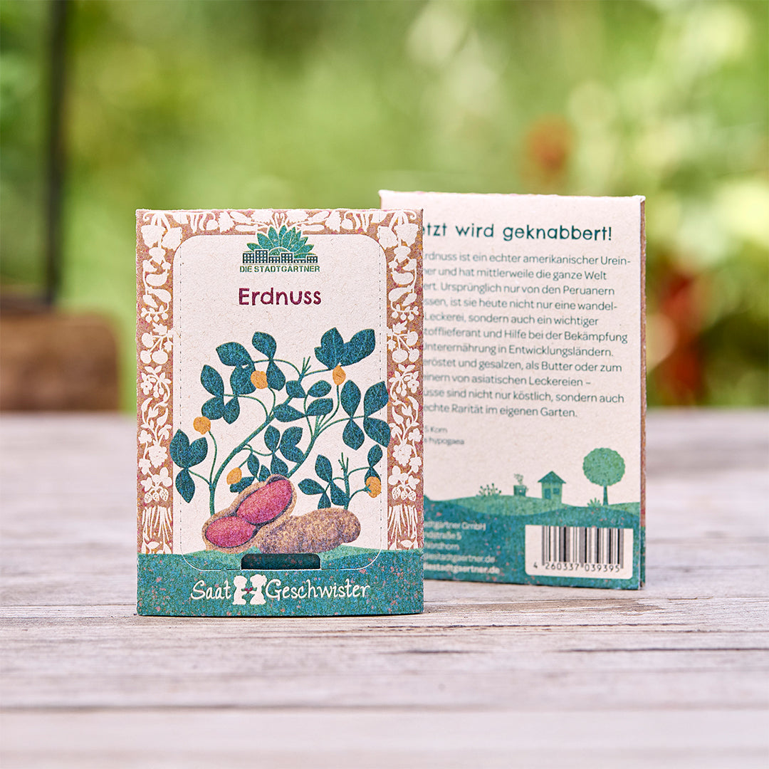 Saatgut Erdnuss 