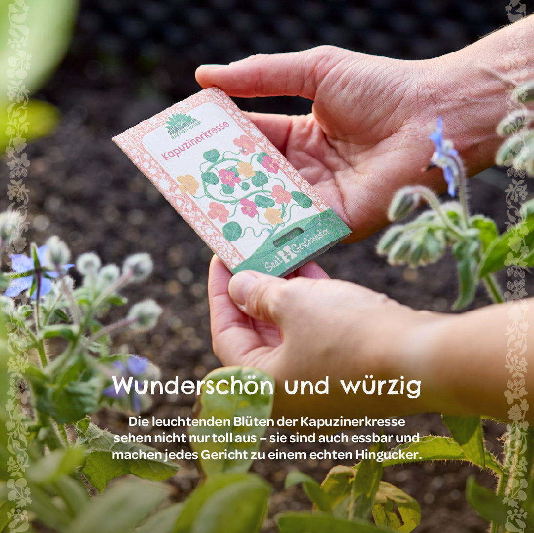 BIO-Saatgut Kapuzinerkresse 