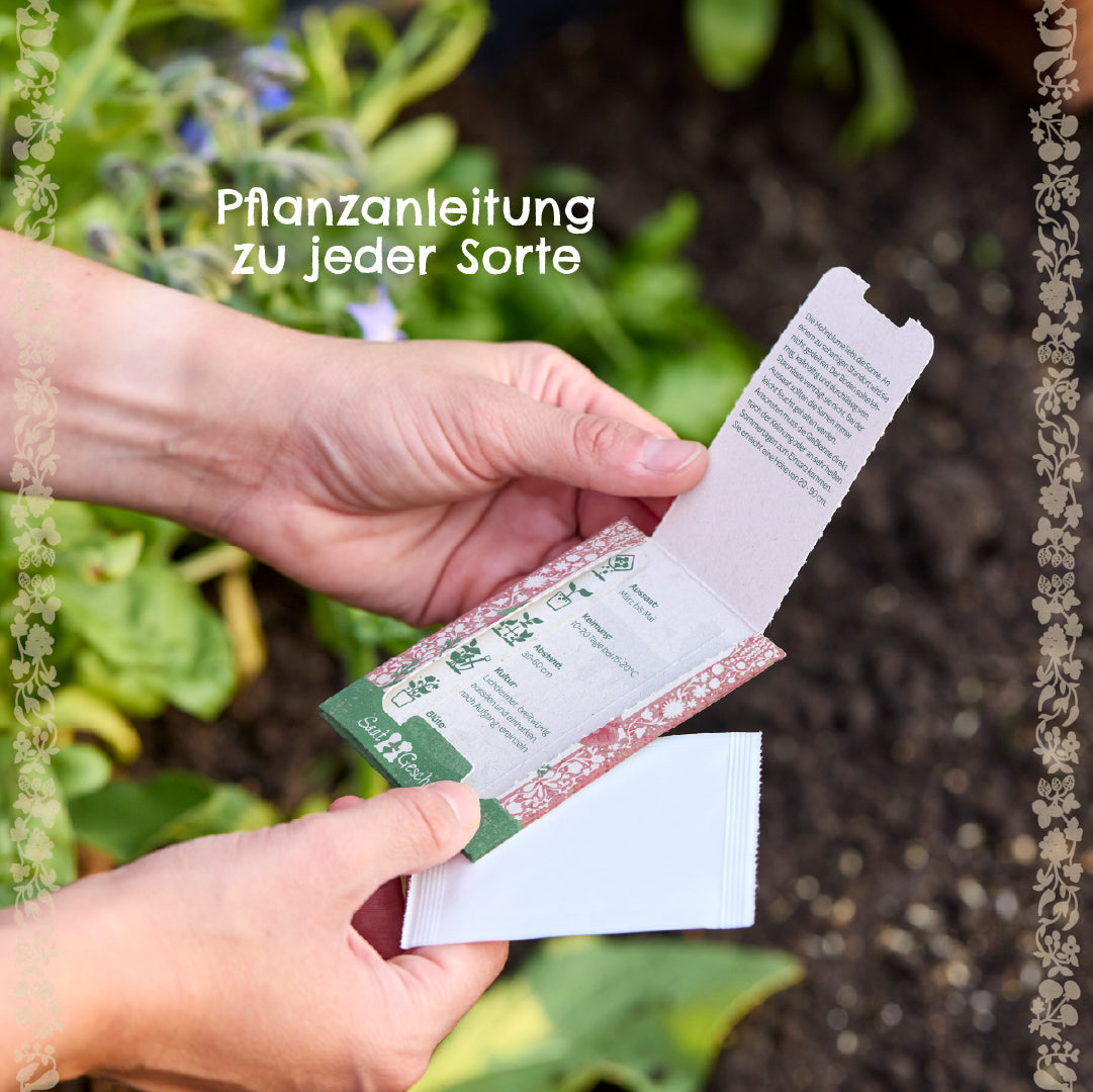 Saatgut Mohnblume 