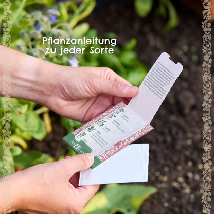 Saatgut Mohnblume 