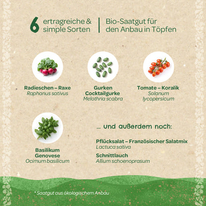 BIO-Saatgut-Set "Balkongemüse" 