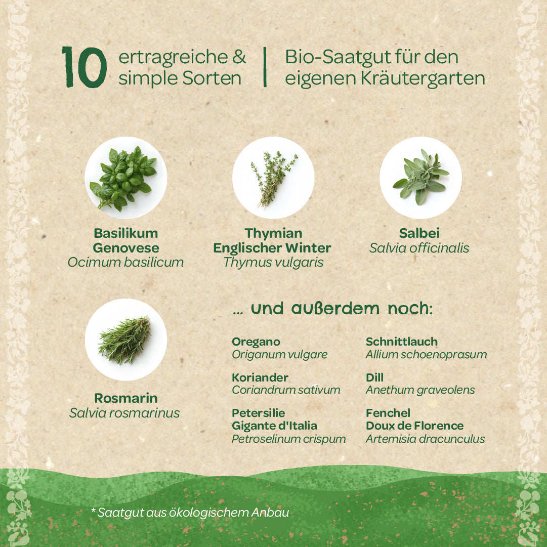BIO-Saatgut-Set "Küchenkräuter" 