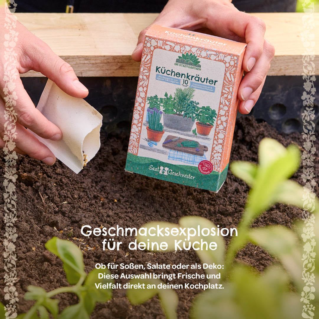 BIO-Saatgut-Set "Küchenkräuter" 