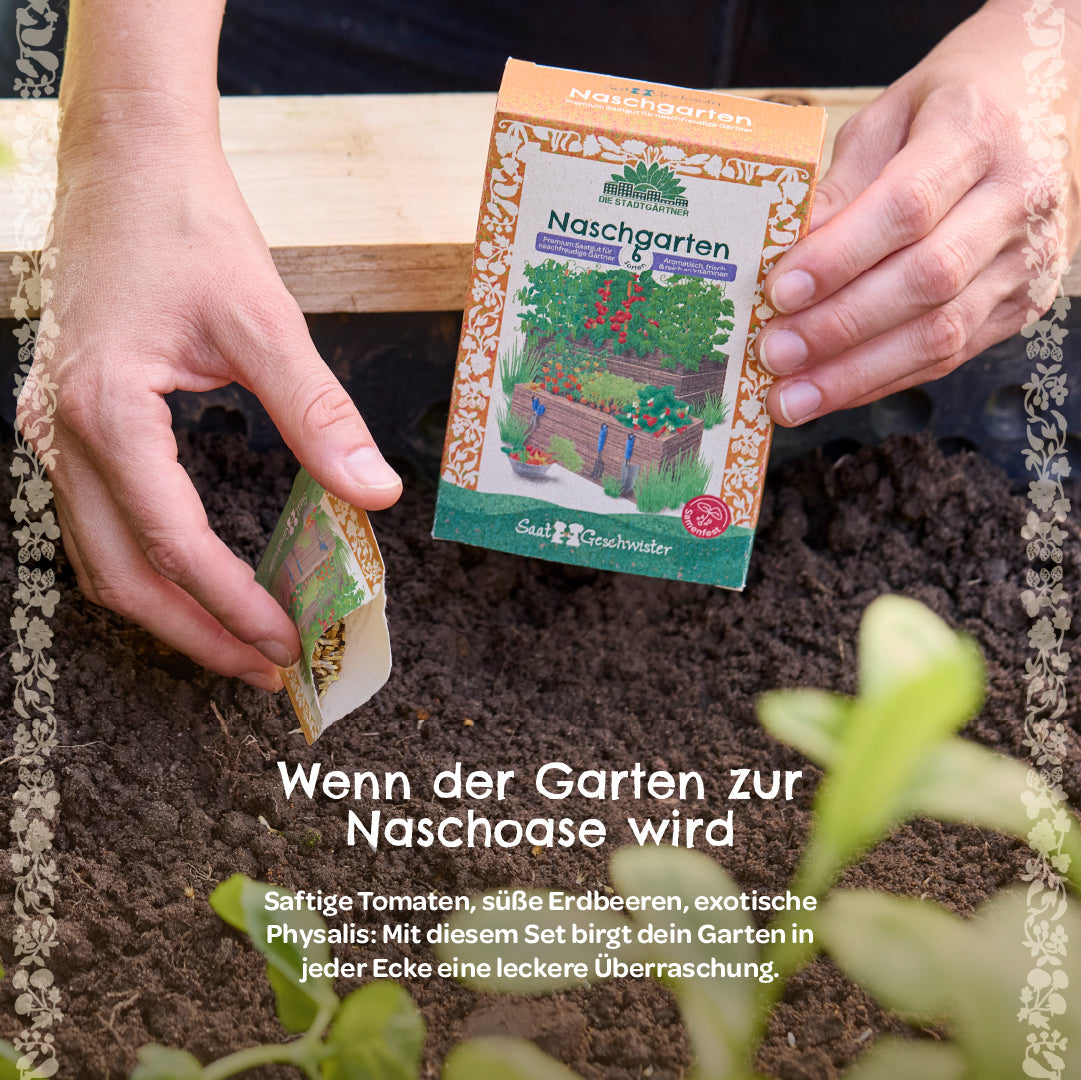 BIO-Saatgut-Set "Naschgarten" 