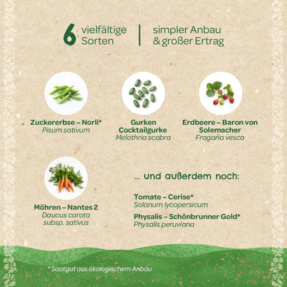 BIO-Saatgut-Set "Naschgarten" 